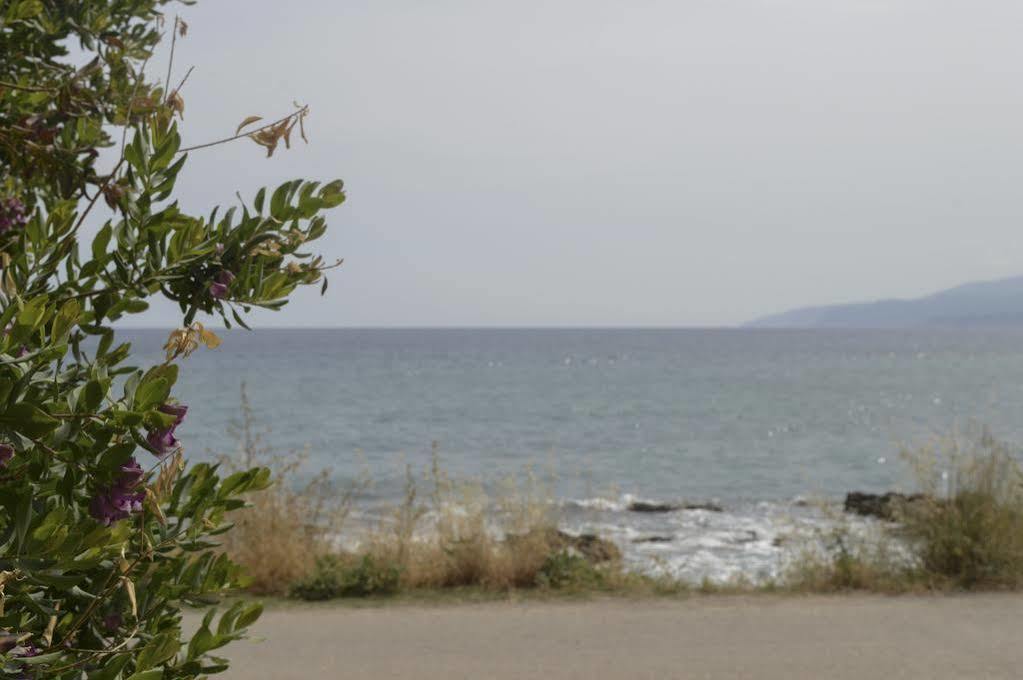 Andromeda Apartments & Studios Hersonissos  Zewnętrze zdjęcie